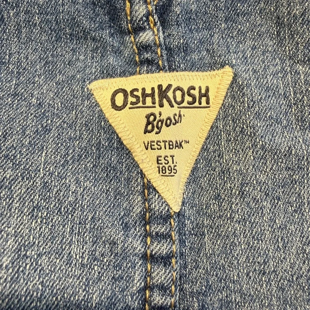 OshKosh B'gosh Girls Blue Denim Floral Lined Ruffle Trim Bib Overalls Size 2T
